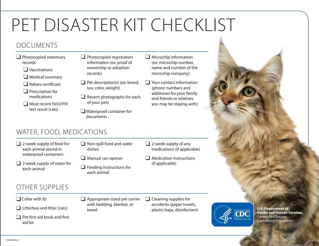 Animal disaster image